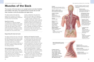 Aper&ccedil;u du contenu 2_Human Anatomy