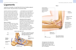 Aper&ccedil;u du contenu 3_Human Anatomy