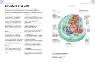 Aper&ccedil;u du contenu 4_Human Anatomy