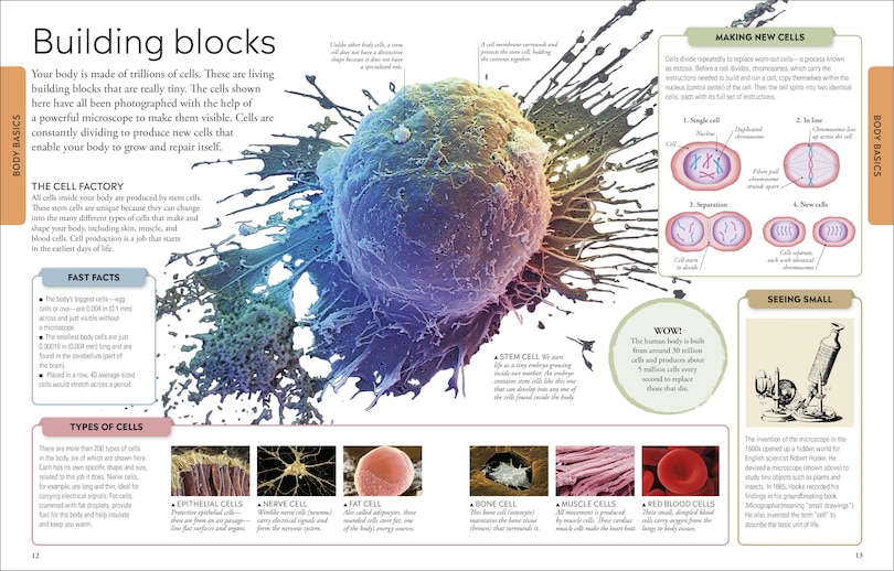 Aperçu du contenu 2_Human Body A Visual Encyclopedia