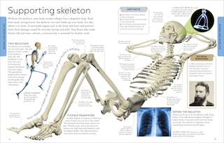 Aperçu du contenu 5_Human Body A Visual Encyclopedia