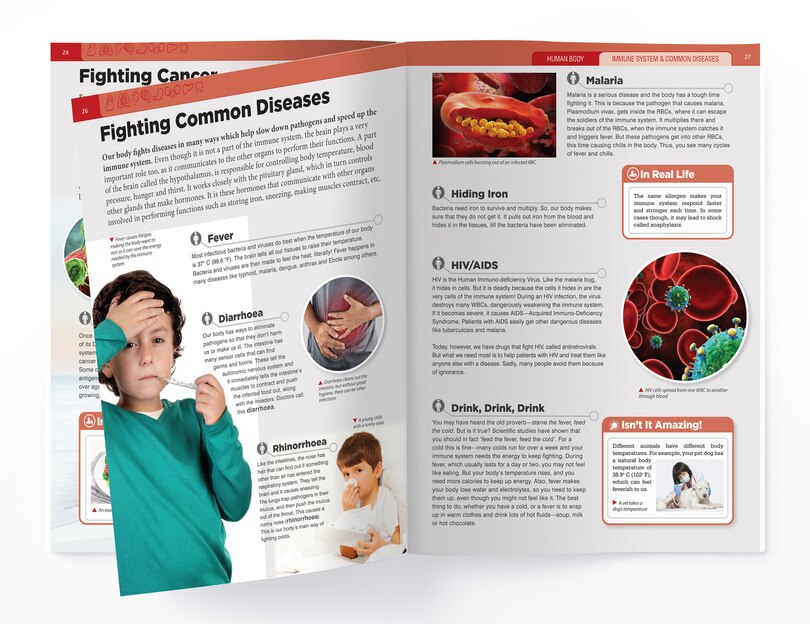 Sample content_Human Body - Immune System And Common Diseases: Knowledge Encyclopedia For Children