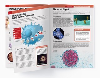 Sample content 2_Human Body - Immune System And Common Diseases: Knowledge Encyclopedia For Children