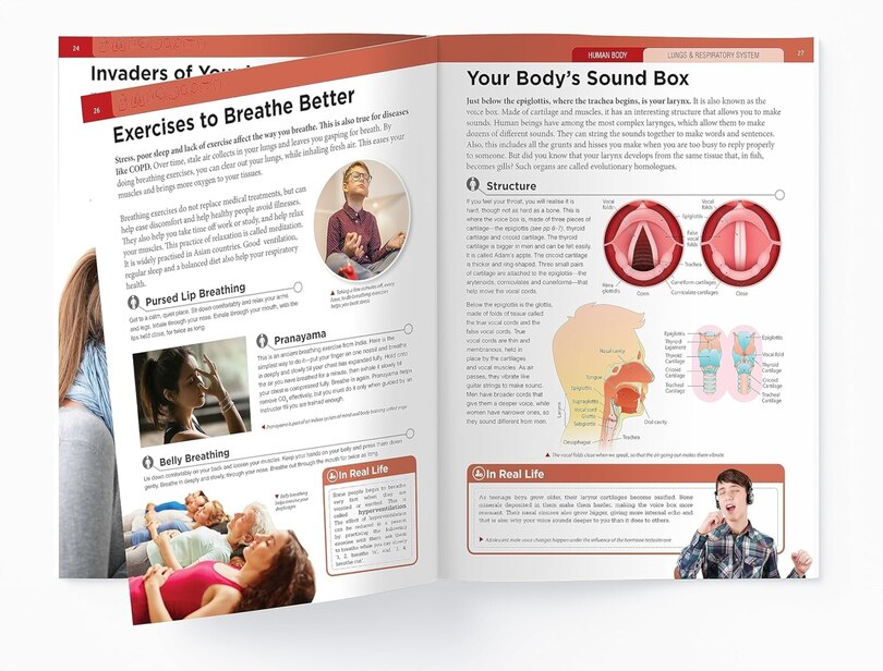 Aper&ccedil;u du contenu 2_Human Body - Lungs And Respiratory System: Knowledge Encyclopedia For Children