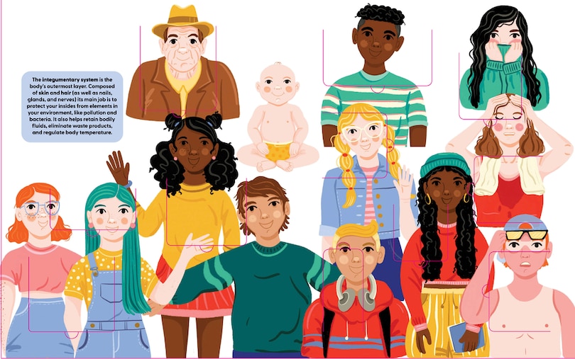 Aper&ccedil;u du contenu_Human Body