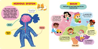 Sample content_Human Body