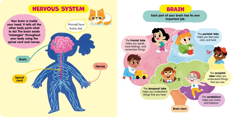 Sample content_Human Body