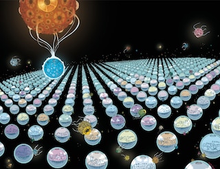 Aper&ccedil;u du contenu_Human Nature Book 1