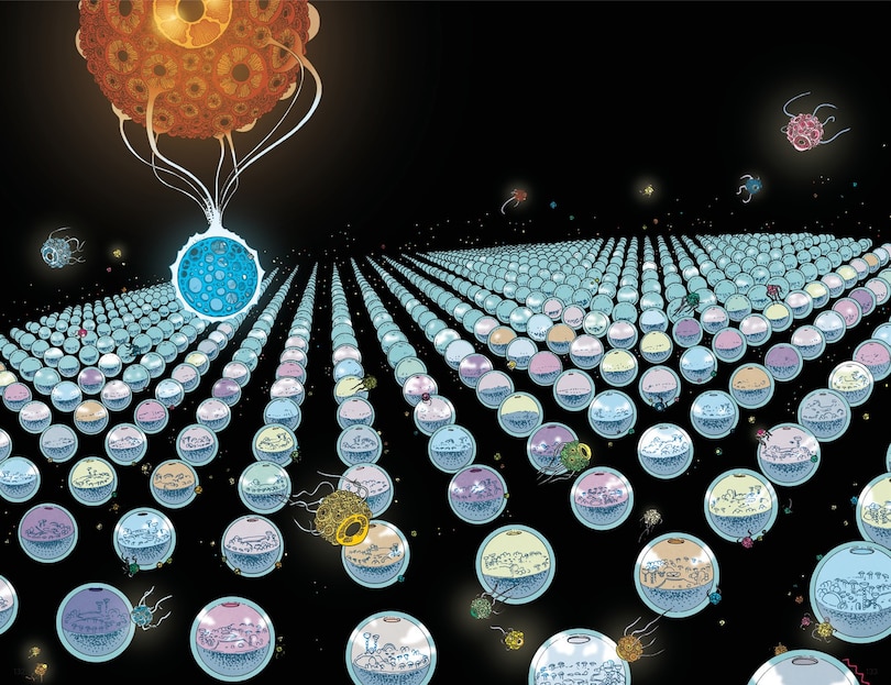 Aper&ccedil;u du contenu_Human Nature Book 1