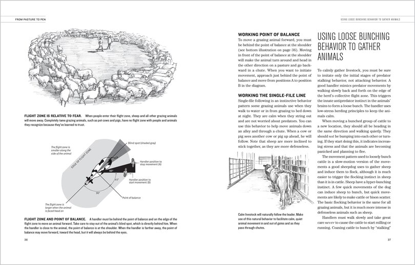 Sample content 4_Humane Livestock Handling