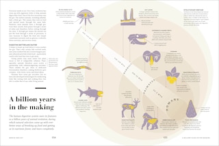 Sample content_Humans