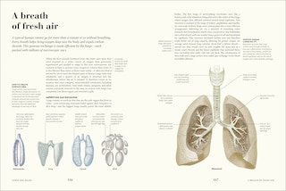 Sample content 2_Humans