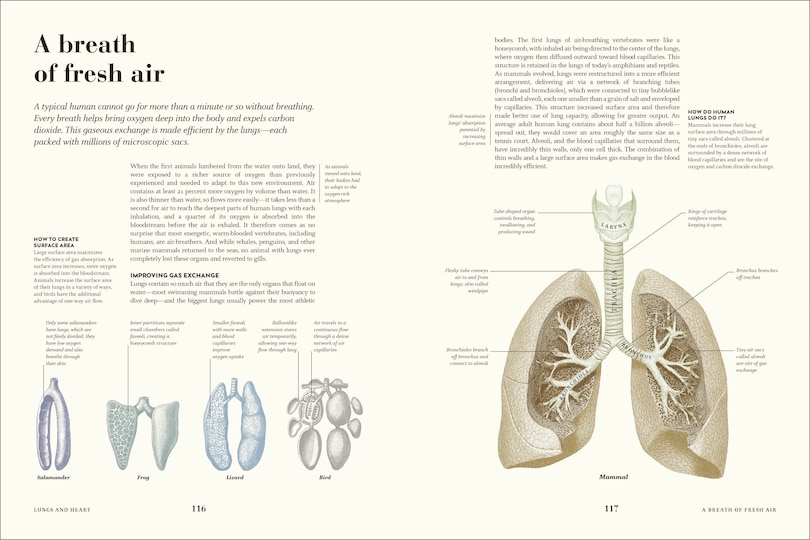 Sample content 2_Humans