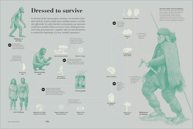 Sample content 3_Humans