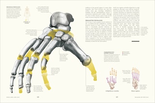 Sample content 4_Humans