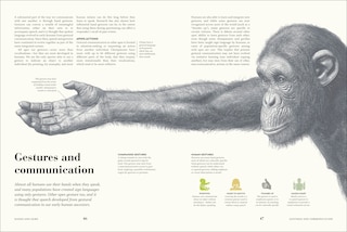 Sample content 5_Humans