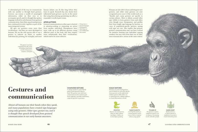 Sample content 5_Humans