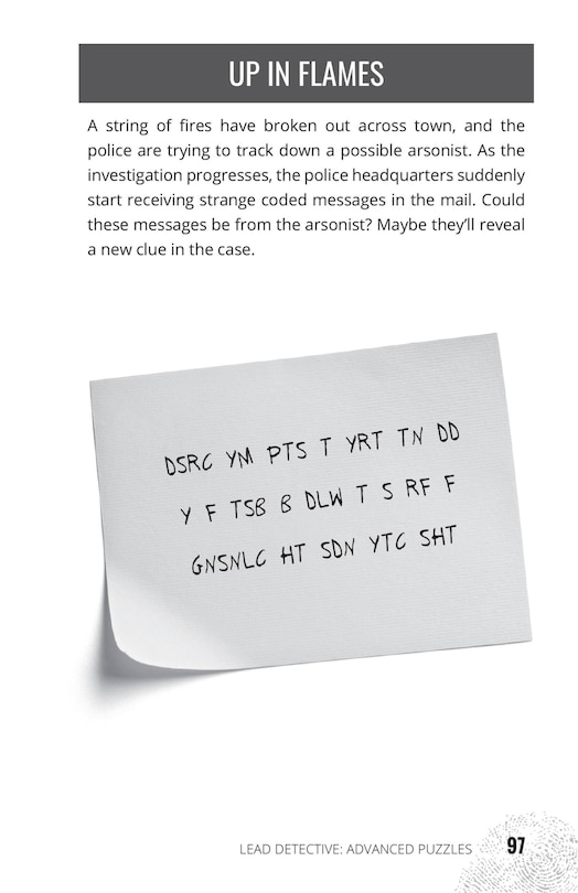 Aper&ccedil;u du contenu 2_Hunt A Killer: The Detective's Puzzle Book