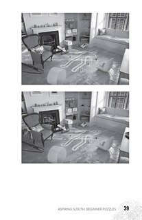 Aper&ccedil;u du contenu 5_Hunt A Killer: The Detective's Puzzle Book