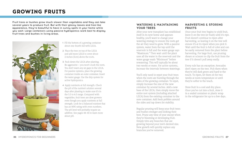 Aper&ccedil;u du contenu 3_Hydroponics For Beginners