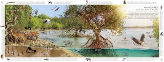 Aperçu du contenu_HÃ¡bitats del mundo (Habitats of the World)