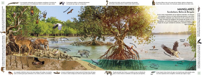 Aperçu du contenu_HÃ¡bitats del mundo (Habitats of the World)