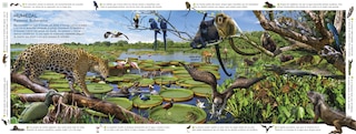 Aperçu du contenu 2_HÃ¡bitats del mundo (Habitats of the World)