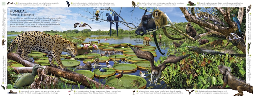 Aperçu du contenu 2_HÃ¡bitats del mundo (Habitats of the World)