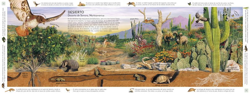 Aperçu du contenu 3_HÃ¡bitats del mundo (Habitats of the World)