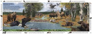 Aperçu du contenu 4_HÃ¡bitats del mundo (Habitats of the World)