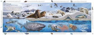 Aperçu du contenu 5_HÃ¡bitats del mundo (Habitats of the World)
