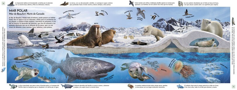 Aperçu du contenu 5_HÃ¡bitats del mundo (Habitats of the World)