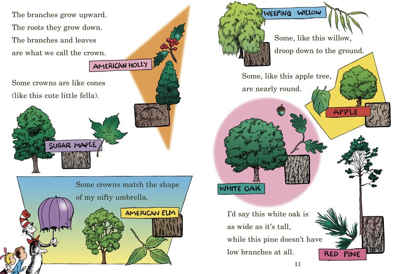 Aperçu du contenu 3_I Can Name 50 Trees Today! All About Trees