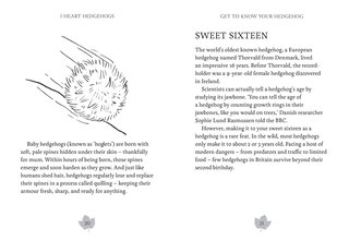 Aper&ccedil;u du contenu_I Heart Hedgehogs