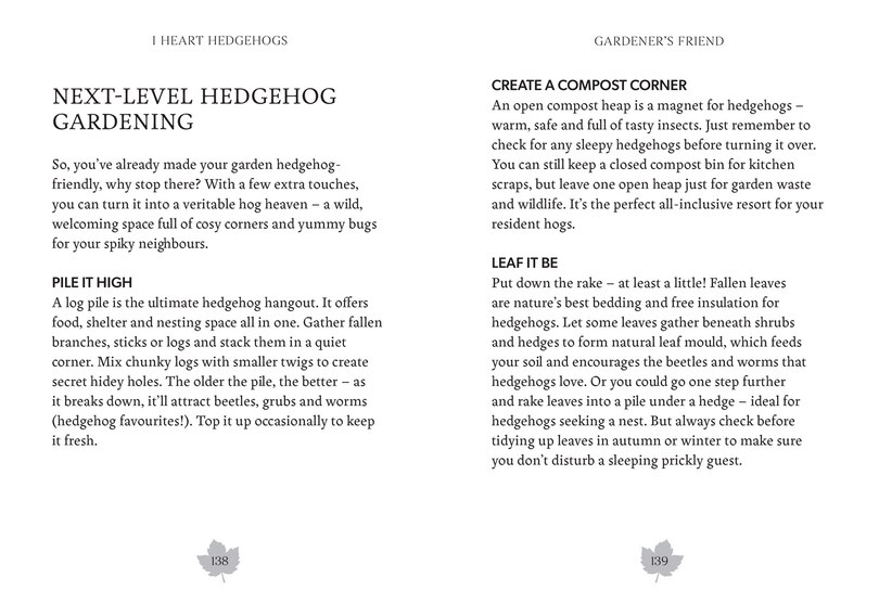 Aper&ccedil;u du contenu 3_I Heart Hedgehogs