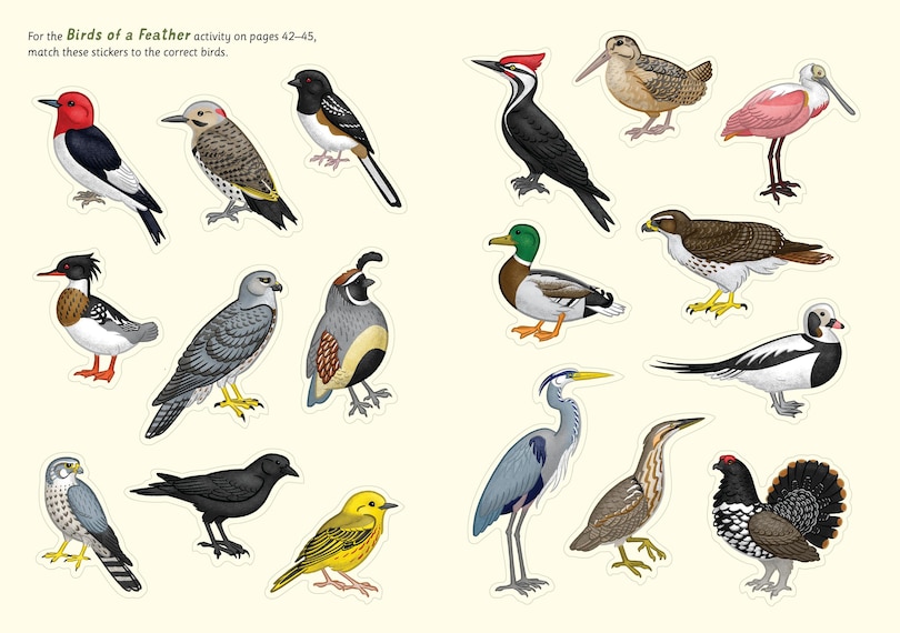 Sample content_I Love Birds Activity Book