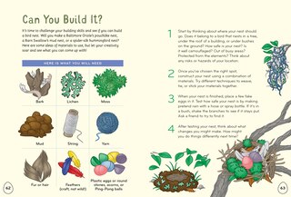 Sample content 3_I Love Birds Activity Book