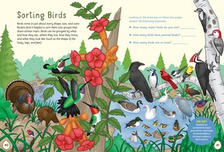 Sample content 4_I Love Birds Activity Book