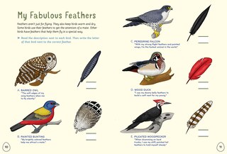Sample content 5_I Love Birds Activity Book