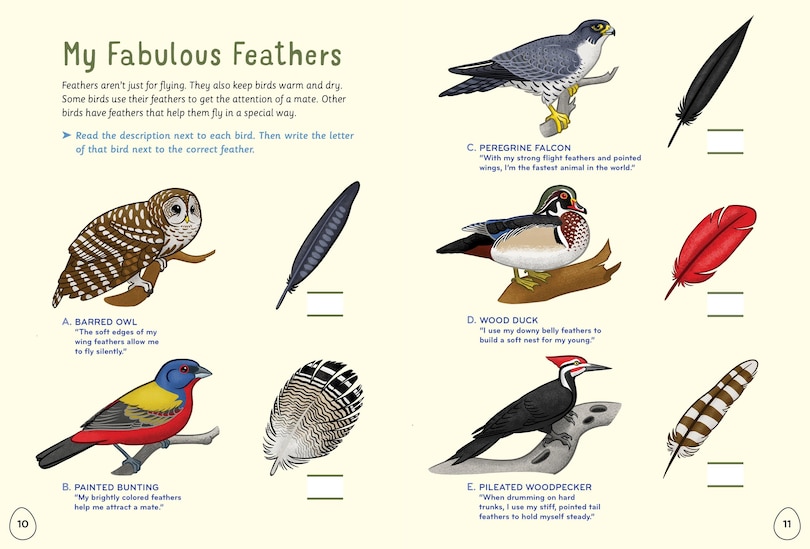 Sample content 5_I Love Birds Activity Book