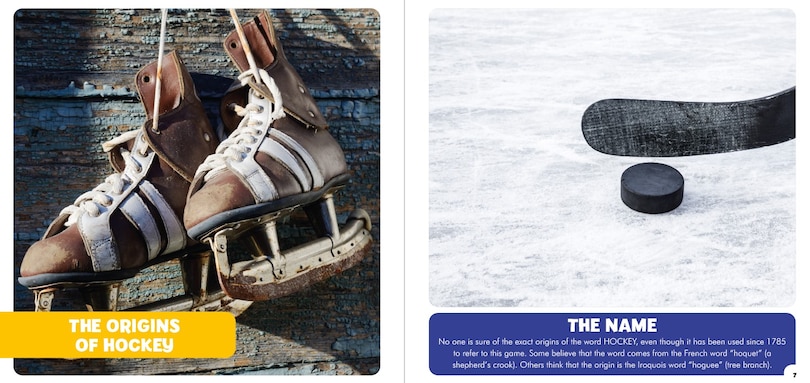 Sample content_Ice Hockey