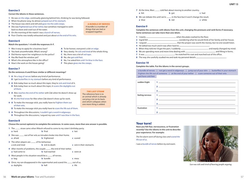 Aper&ccedil;u du contenu 3_Idioms