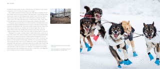 Sample content_Iditarod