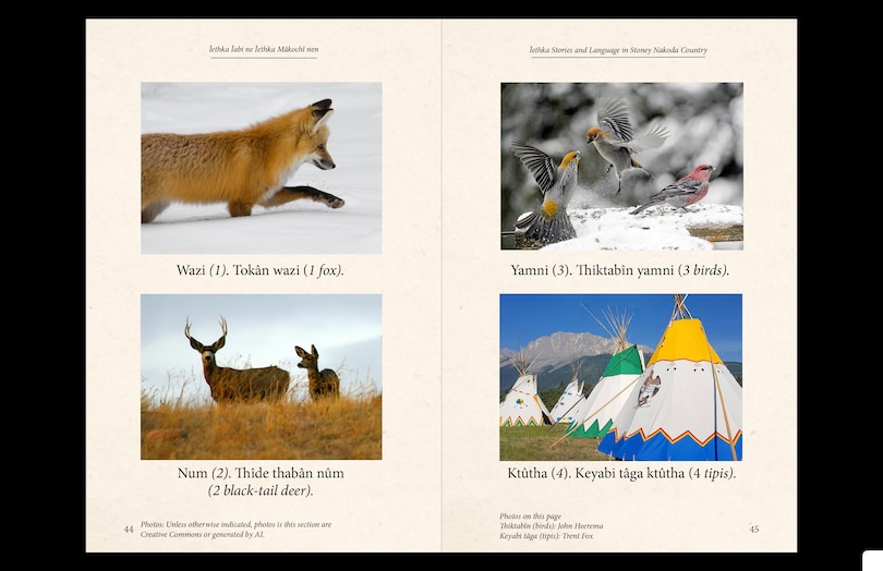 Aper&ccedil;u du contenu 4_Iethka