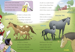 Sample content_If I Ran the Horse Show: All About Horses