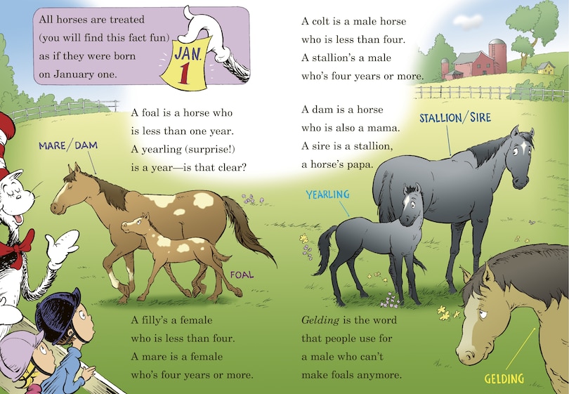 Sample content_If I Ran the Horse Show: All About Horses