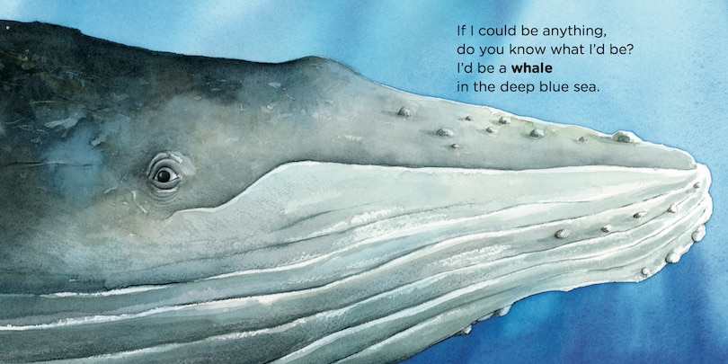 Sample content_If I Were a Whale