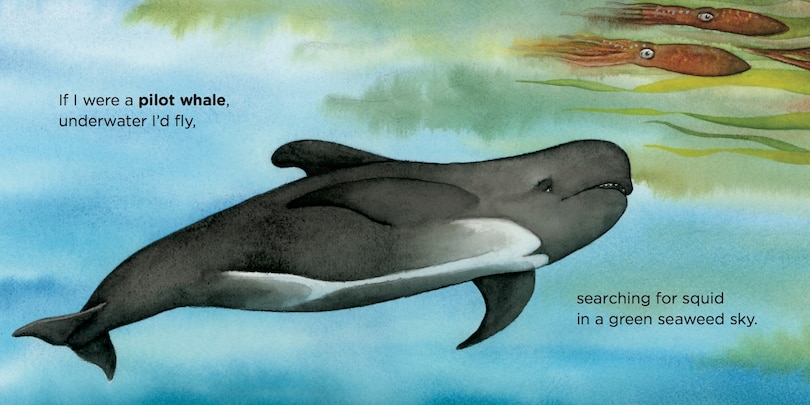 Sample content 2_If I Were a Whale