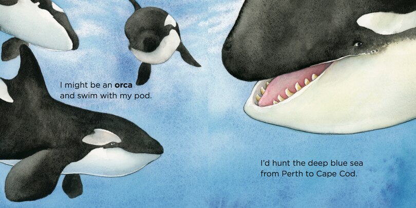 Sample content 3_If I Were a Whale