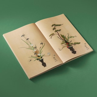 Sample content_Ikebana